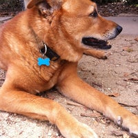 Photo taken at Longwood Park Dog Park by Keith P. on 7/14/2012