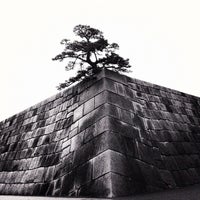 北桔橋門 皇居 千代田1 1