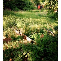 Photo taken at Guerilla-Gardening Garten @MaxBerlin by Maximilian M. on 6/8/2012