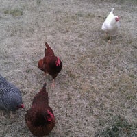 Photo taken at chicken house by Michael J. on 2/28/2012