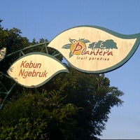 Plantera Fruit Paradise Patean Jawa Tengah