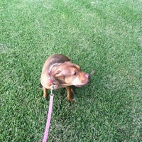 Photo taken at Kings Park Dog Park by James H. on 8/14/2012
