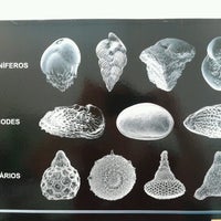 Photo taken at Lab Estratigrafia e Paleontologia by Luciana B. on 7/31/2012