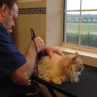 vca buffalo ridge animal hospital