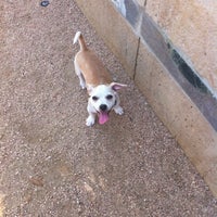 Photo taken at Market Square Dog Park by Candice -. on 8/3/2012