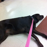 Photo taken at PetSmart by Evelyn on 9/9/2012