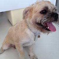 Photo taken at Doggie Grooming House by koko S. on 5/28/2012