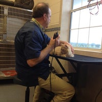 vca buffalo ridge animal hospital