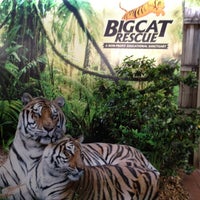 Photo taken at Big Cat Rescue by Allison S. on 4/14/2012