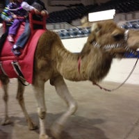 Photo taken at Murat Shrine Circus @Indiana State Fairgrounds by Deanna M. on 3/3/2012