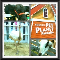 Photo taken at Seacon Pet Planet by Chamma M. on 7/8/2012