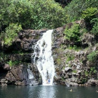 Waimea Valley Waterfall 21 Tips From 1838 Visitors