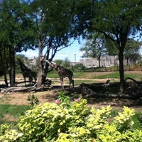 Photo taken at The Giraffe Exhibit by Kaelyn G. on 8/11/2012