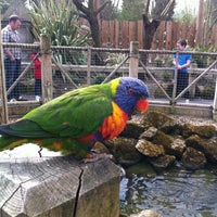 Photo taken at Lorikeet Lagoon by Paul G. on 4/6/2012