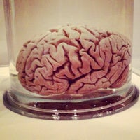 Photo taken at Brains - The Mind as Matter by Chandni K. on 6/3/2012