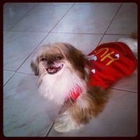 angeles pet care center