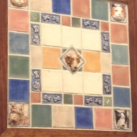 vca buffalo ridge animal hospital