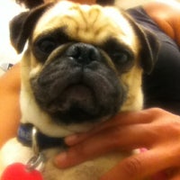 Photo taken at Binford Pet Wellness Clinic by Lade A. on 6/4/2012