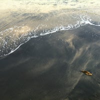 Pantai Pasir Hitam Black Sand Beach 41 Tips