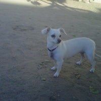 Photo taken at Downtown LA Arts District Dog Park by Shannon O. on 7/7/2012