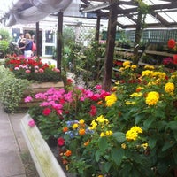 Photo taken at Fulham Palace Garden Centre by Mervyn D. on 8/19/2012