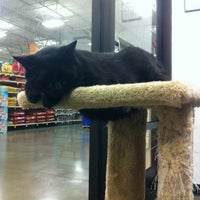 Photo taken at PetSmart by Dawn H. on 5/22/2012