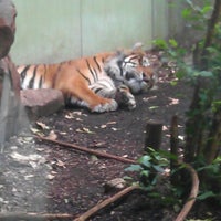 Zoo Frankfurt Ostend Frankfurt Am Main Hessen