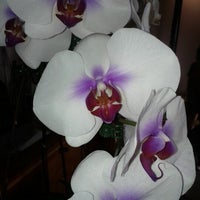 Photo taken at The Blooming Orchid by German S. on 8/14/2012