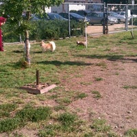Photo taken at NoHo Dog Park by Ty P. on 5/7/2012