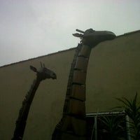 Photo taken at Giraffe Garden by Peter K. on 6/12/2012