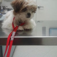 Photo taken at Banfield Pet Hospital by Angelita V. on 5/19/2012