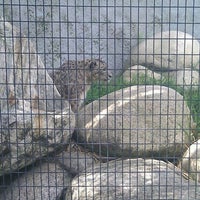 Photo taken at Snow Leopards by Keiichi S. on 3/10/2012