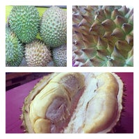 Durian Stall 榴莲档 Desa Setapak 26 Visitors