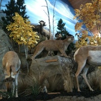 Photo taken at Cabela&#39;s by Harriet Alison N. on 4/15/2012
