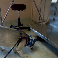 Photo taken at Airport Cities Animal Hospital by CreoleTes on 2/29/2012