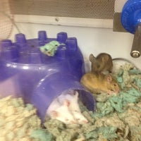 Photo taken at Petco by Jack T. on 5/5/2012