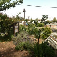 Photo taken at UFF - Community Garden by Shawn C. on 5/15/2012