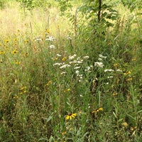 Photo taken at Daubenspeck Community Nature Park by Lorraine B. on 6/17/2012