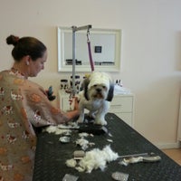 Photo taken at Just 4 Dogs Pet Salon by Adrian R. on 7/21/2012