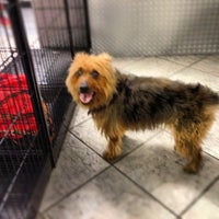 Photo taken at Howlistic Grooming by Jordan D. on 6/27/2012