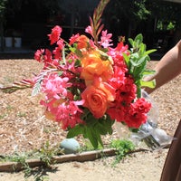 5/26/2012にKaren f.がDragonfly Floralで撮った写真