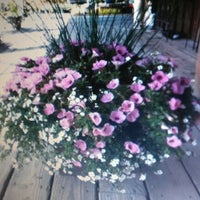 รูปภาพถ่ายที่ White&amp;#39;s Nursery &amp;amp; Garden Center โดย PATRICIA W. เมื่อ 5/28/2012
