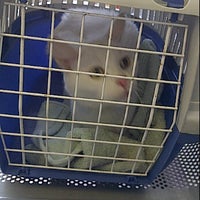 Photo taken at Midland Veterinary Surgery by JASON on 5/11/2012