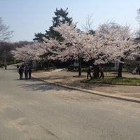 服部緑地公園 11 Tips From 2994 Visitors