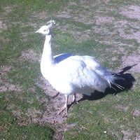 Photo taken at Halls Gap Zoo by Max S. on 5/10/2012