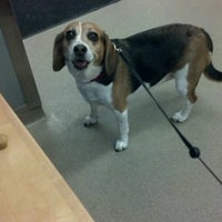 Photo taken at Windham Animal Hospital by David D. on 7/3/2012