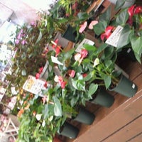 花工場 港北ニュータウン センター南店 都筑区の生花店