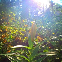 Photo taken at Guerilla-Gardening Garten @MaxBerlin by Maximilian M. on 6/1/2012