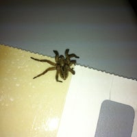 5/14/2012にLindsay S.がThe Bug Manで撮った写真