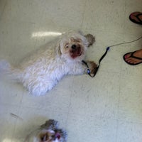 Speck's pet store supply hours